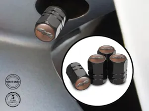 Valve Stem Caps for Car Skilled
